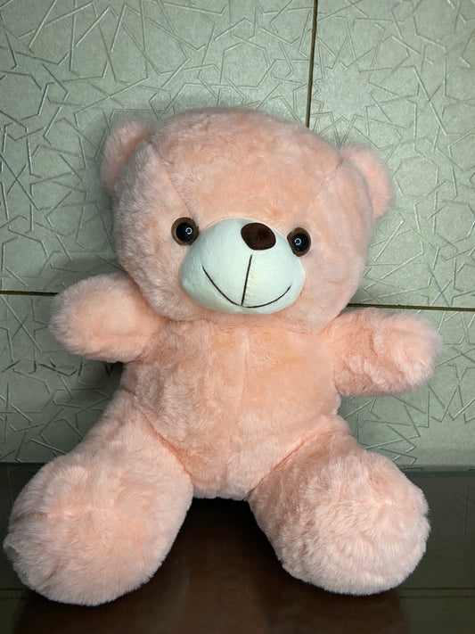 Soft teddy